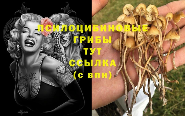 ПСИЛОЦИБИНОВЫЕ ГРИБЫ Балахна